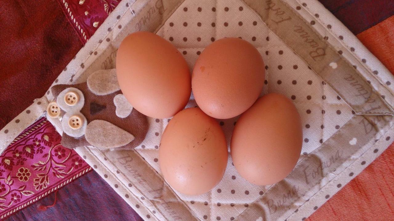 Nebbiu B&B Lo Scoiattolo מראה חיצוני תמונה